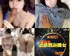 [4部]FC2 4803266 人生<strong><font color="#D94836">初中</font></strong>出し/4803286 性の快楽/4803289 猫尻尾/4803239 最強美女(MP4@多空@無碼)(5P)